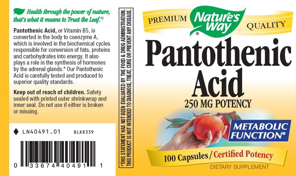 Nature's Way Pantothenic Acid 250mg High Potency Supplement, 100 Capsules x 3 Bottles