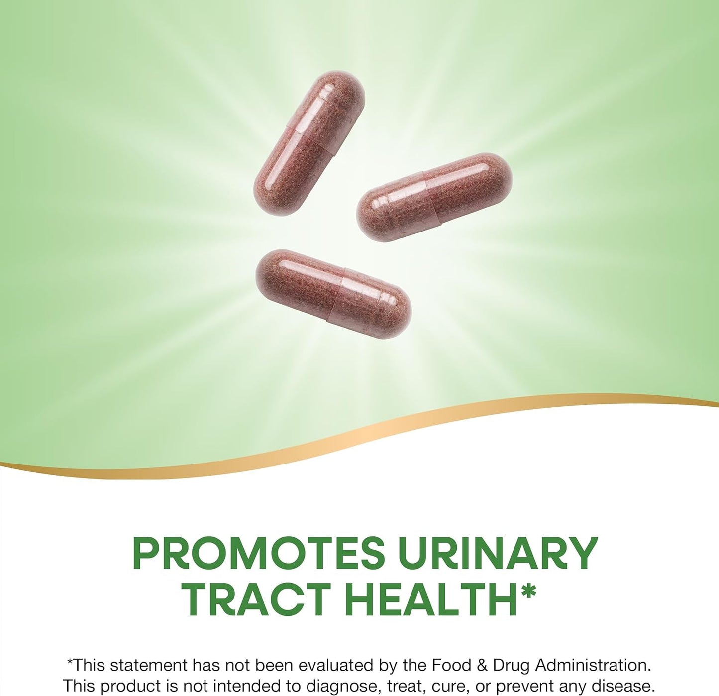 Nature's Way Premium Blend Urinary Support Supplement with Cranberry Extract - 1,260mg per Serving - 100 Capsules