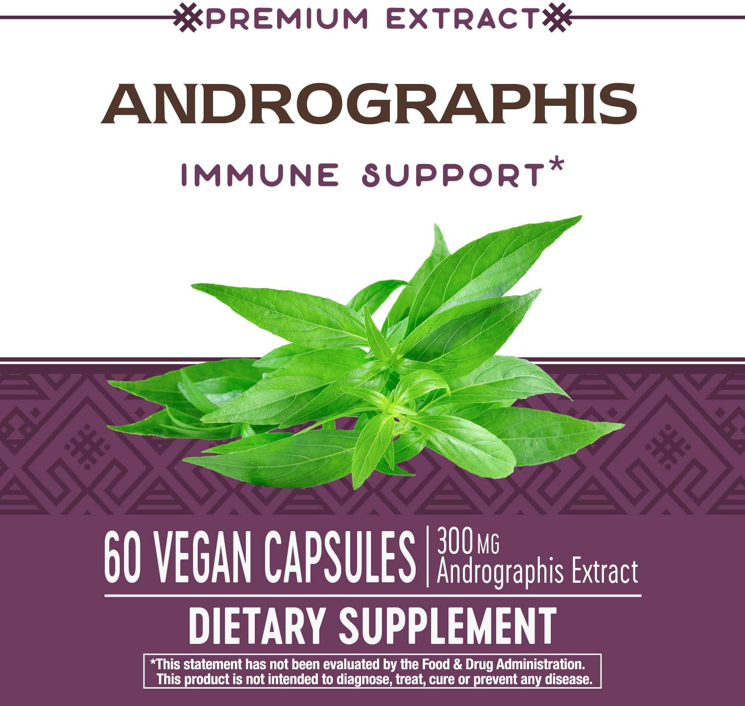 Nature's Way Premium Extract Andrographis Capsules - Immune Support* - 300 mg Andrographis Extract - 60 Count - BoostGo Australia