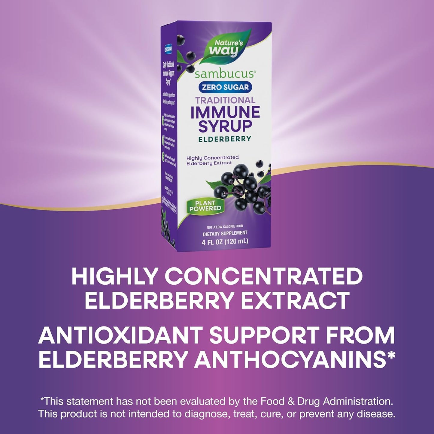 Nature's Way Sambucus Zero Sugar Immune Support Syrup, Highly Concentrated Black Elderberry Extract, Sugar-Free, Berry Flavored - 4 Fl Oz