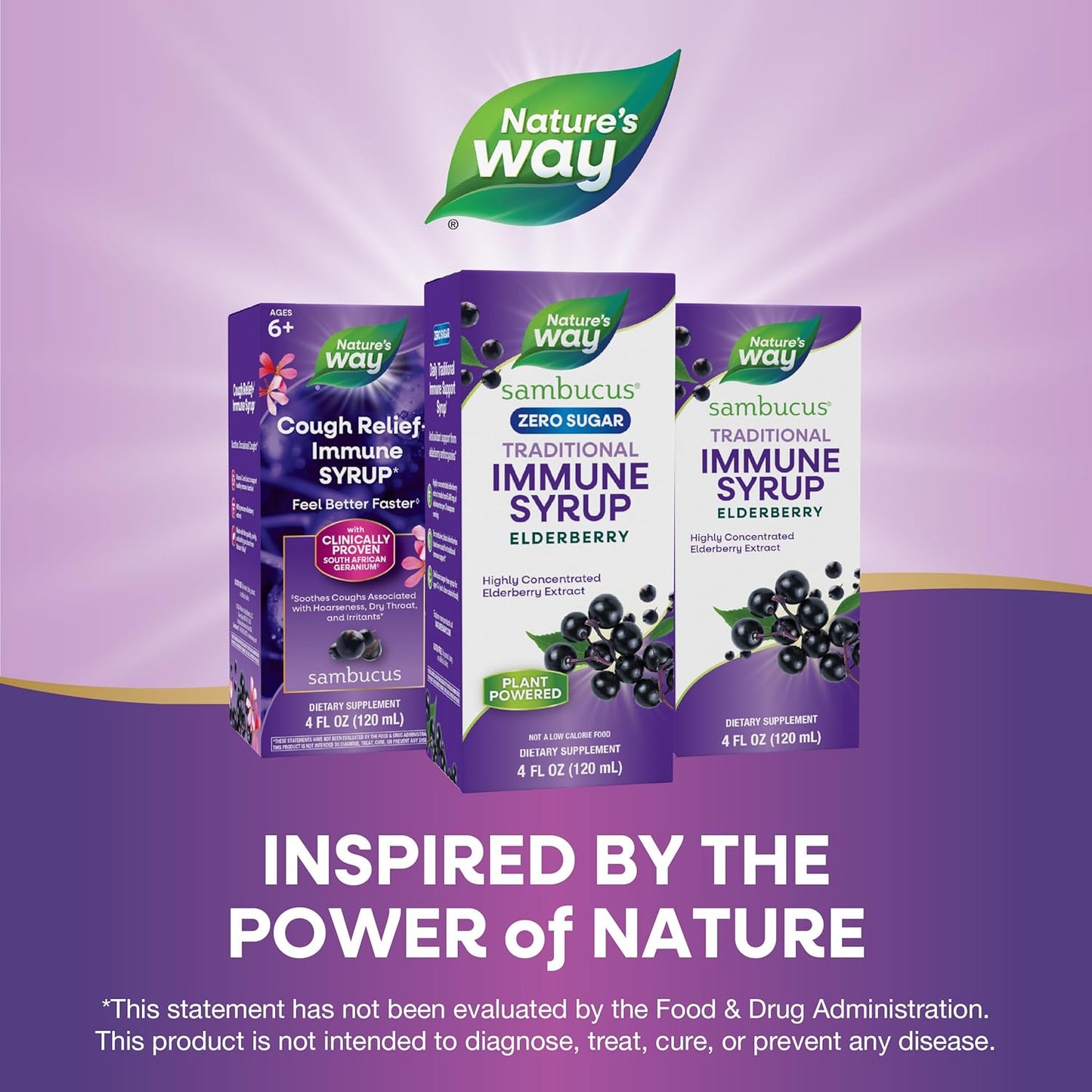 Nature's Way Sambucus Zero Sugar Immune Support Syrup, Highly Concentrated Black Elderberry Extract, Sugar-Free, Berry Flavored - 4 Fl Oz