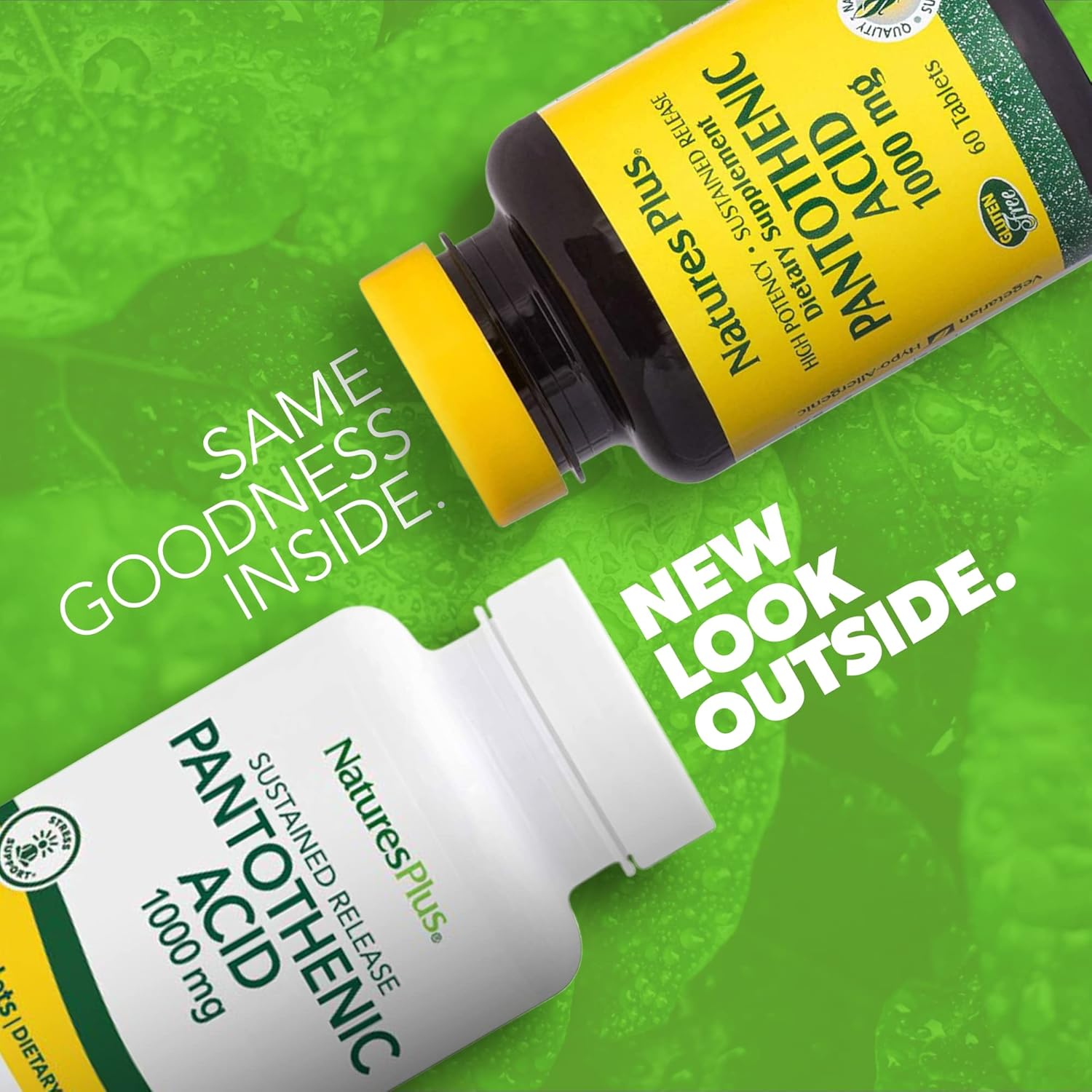 NaturesPlus Pantothenic Acid 1000mg Tablets - 60 Count