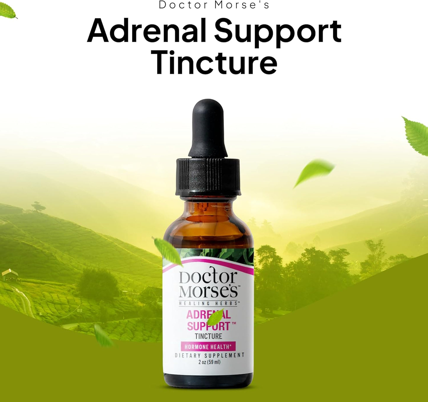 Naturopath Formulated Adrenal Support Tincture - Vegan Stress Relief Supplement - Resilience Booster with Chaste Tree Berry, Dandelion Root, Eleuthero - 2oz