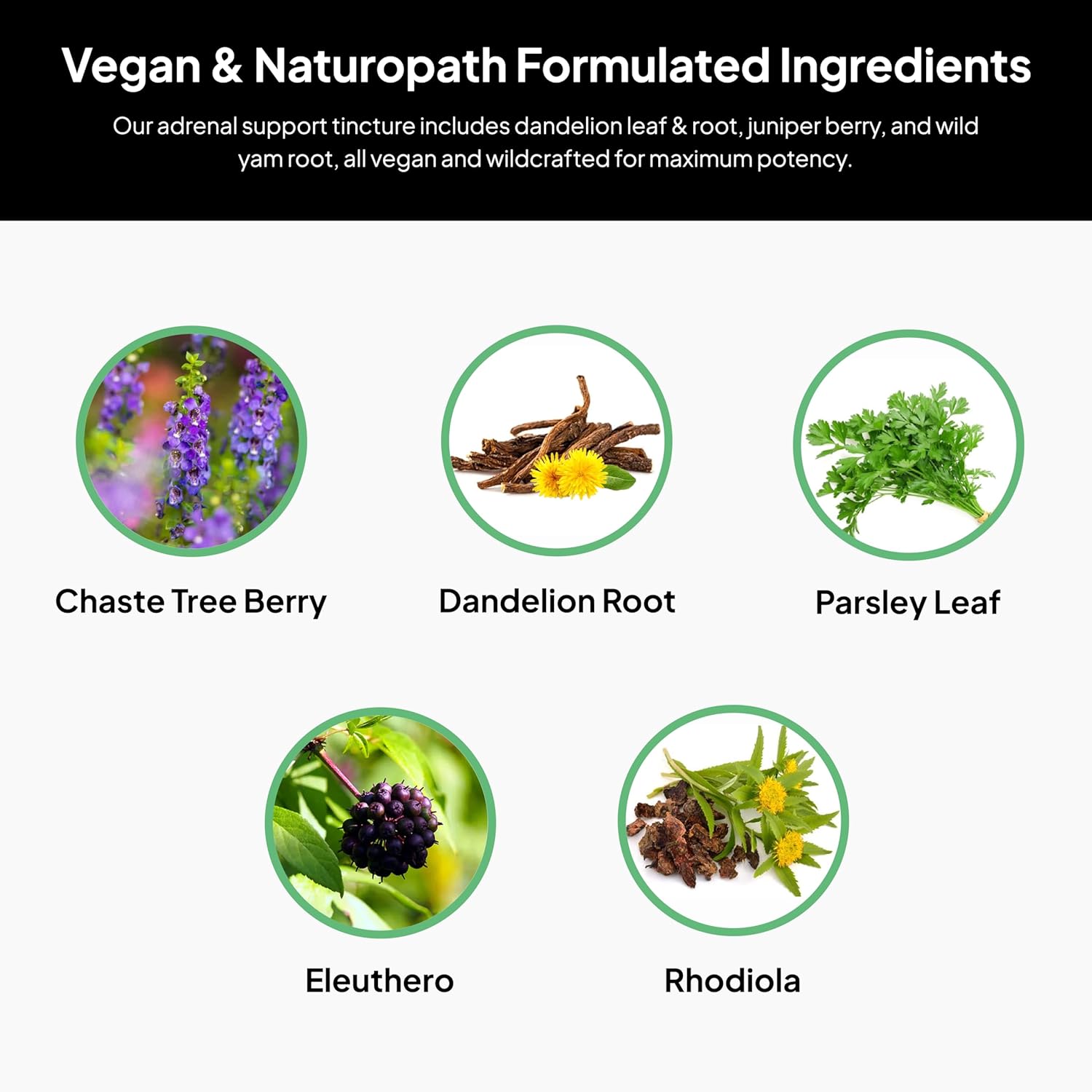 Naturopath Formulated Adrenal Support Tincture - Vegan Stress Relief Supplement - Resilience Booster with Chaste Tree Berry, Dandelion Root, Eleuthero - 2oz