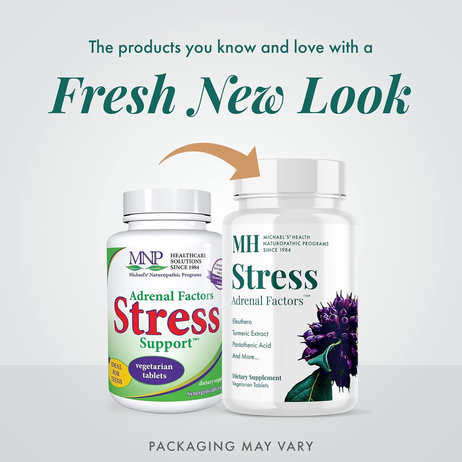 Naturopathic Stress Support with Turmeric & Ashwagandha - 60 Vegetarian Tablets - Adrenal Gland Nourishment - Stimulant Free