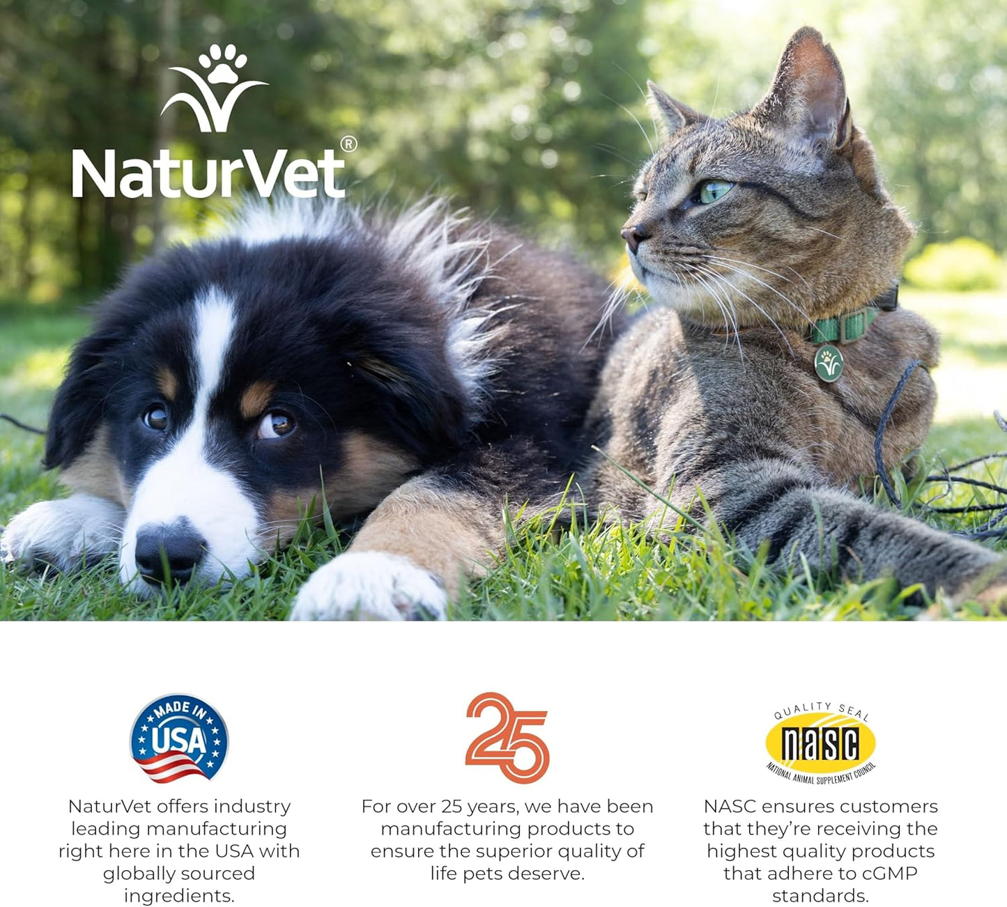 NaturVet All-in-One Dog Supplement for Joint Support, Digestion, Skin & Coat Care - Multivitamins with Omega-3, 6, 9 & Minerals - Wheat-Free Powder - 13oz.