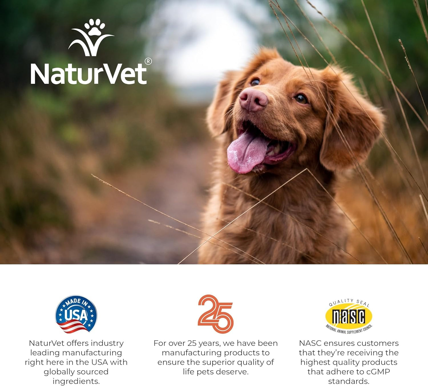 NaturVet All-in-One Dog Supplement with Joint Support, Digestion, Skin, Coat Care - 60 Soft Chews