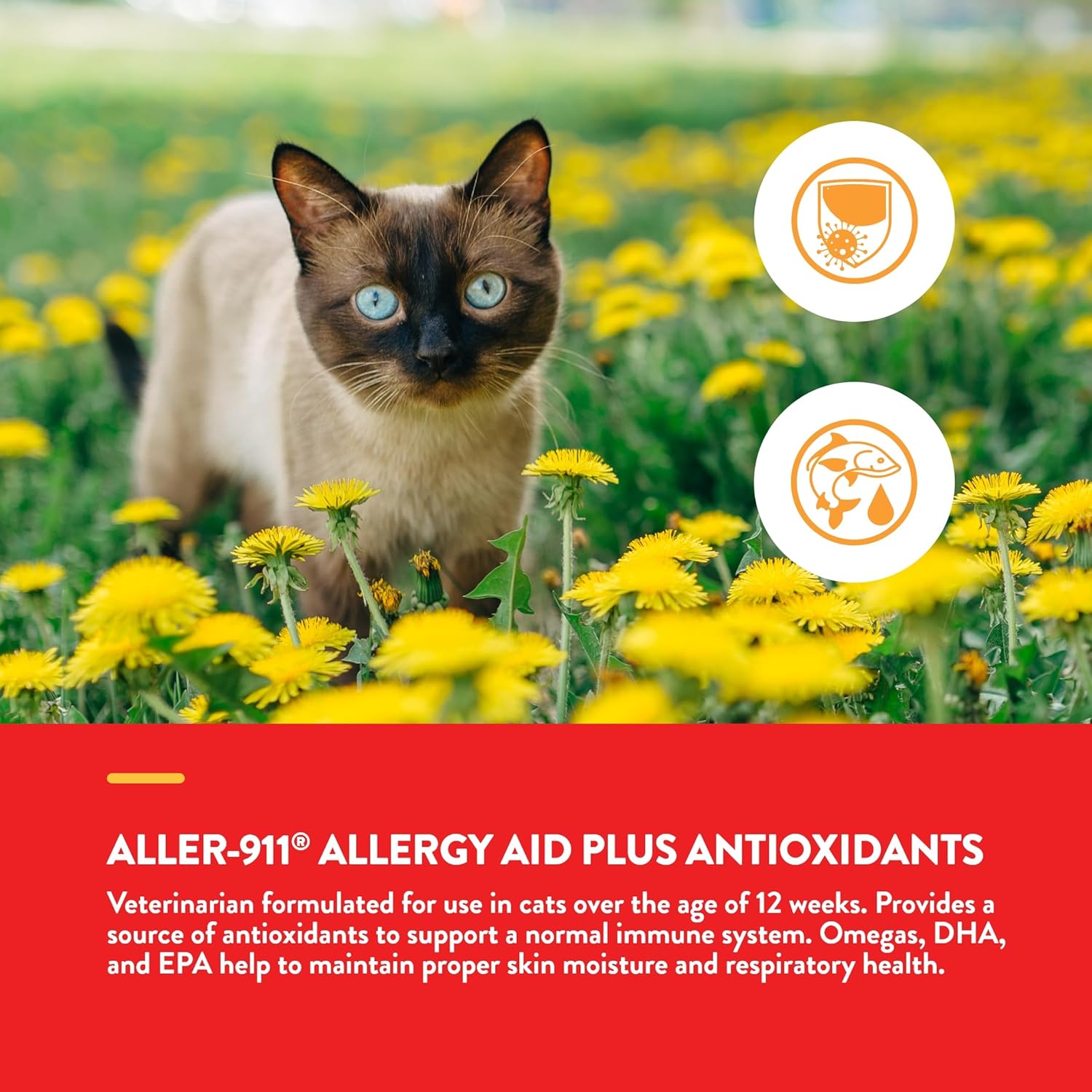 NaturVet Aller-911 Allergy Aid Soft Chews for Cats - Supports Immune System & Skin Health - Omega-3 & Antioxidants - 60 Chews