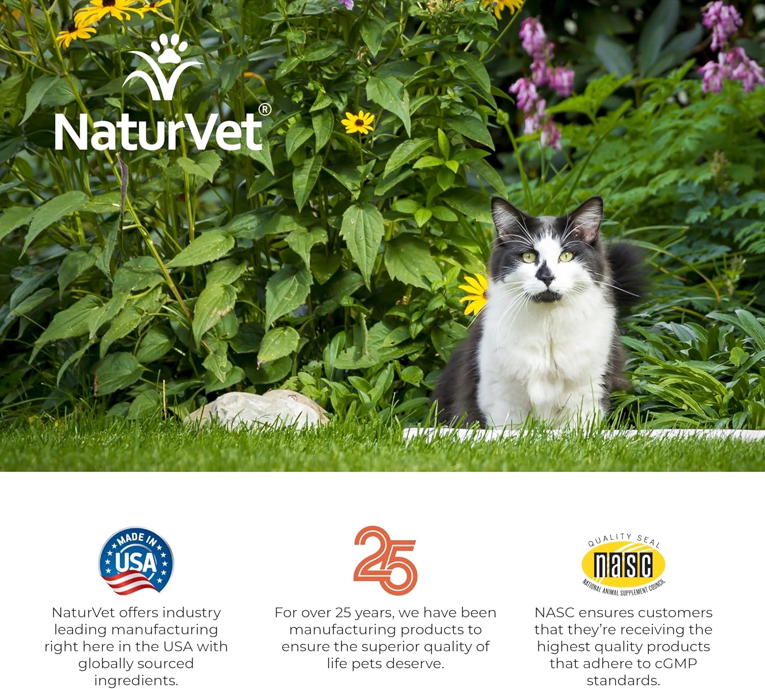 NaturVet Aller-911 Allergy Aid Soft Chews for Cats - Supports Immune System & Skin Health - Omega-3 & Antioxidants - 60 Chews