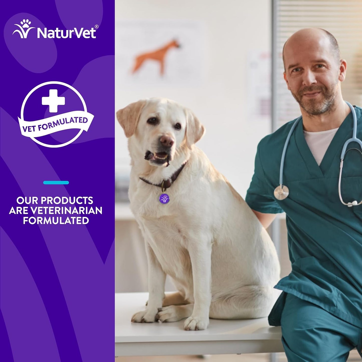 NaturVet Evolutions Probiotic & Superfoods Soft Chews for Dogs - Prebiotic & Probiotic Blend, Digestive Enzymes, Bone Broth, Omega’s - Support Gut Health and Intestinal Flora - 90ct - BoostGo Australia