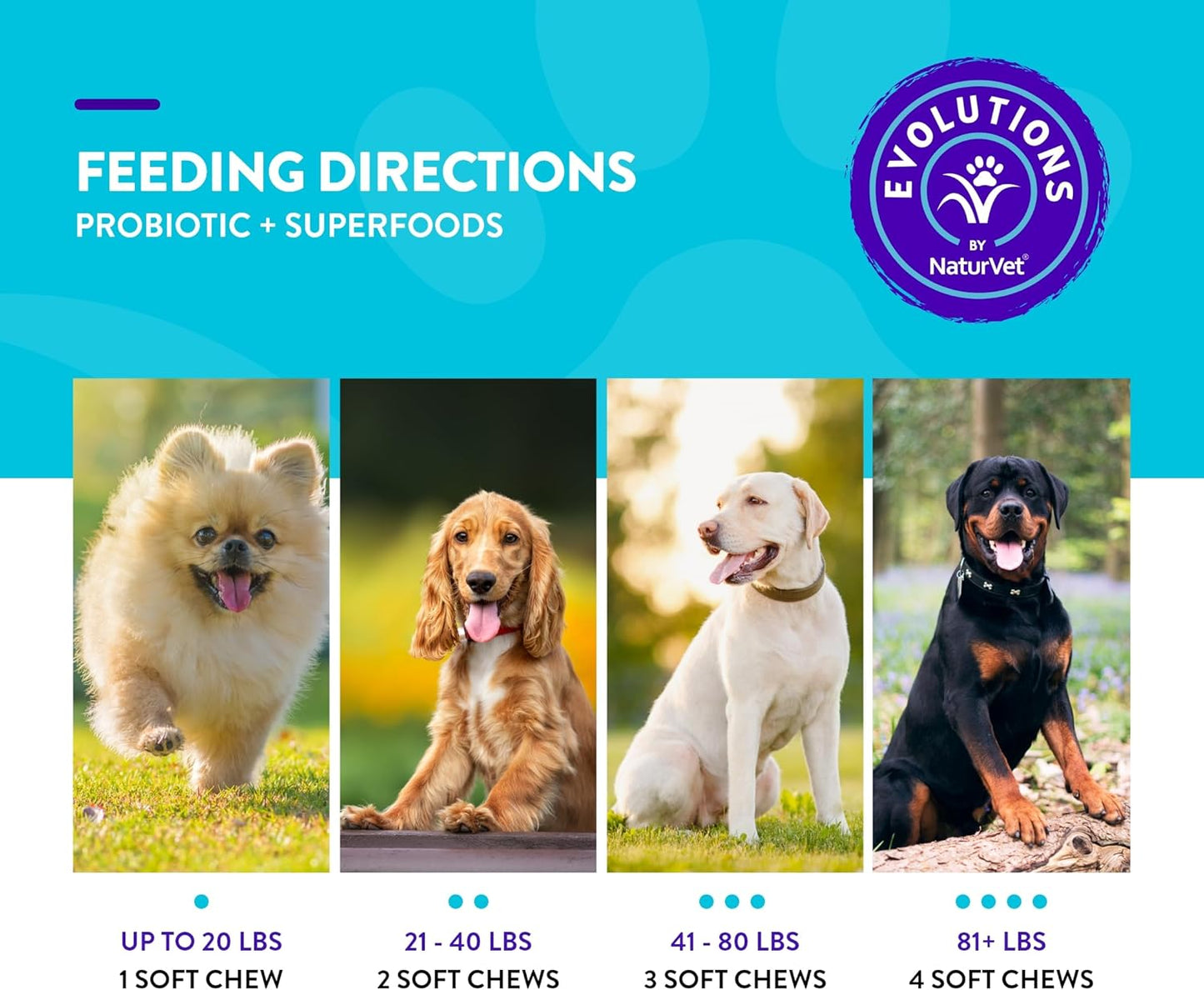 NaturVet Evolutions Probiotic & Superfoods Soft Chews for Dogs - Prebiotic & Probiotic Blend, Digestive Enzymes, Bone Broth, Omega’s - Support Gut Health and Intestinal Flora - 90ct - BoostGo Australia