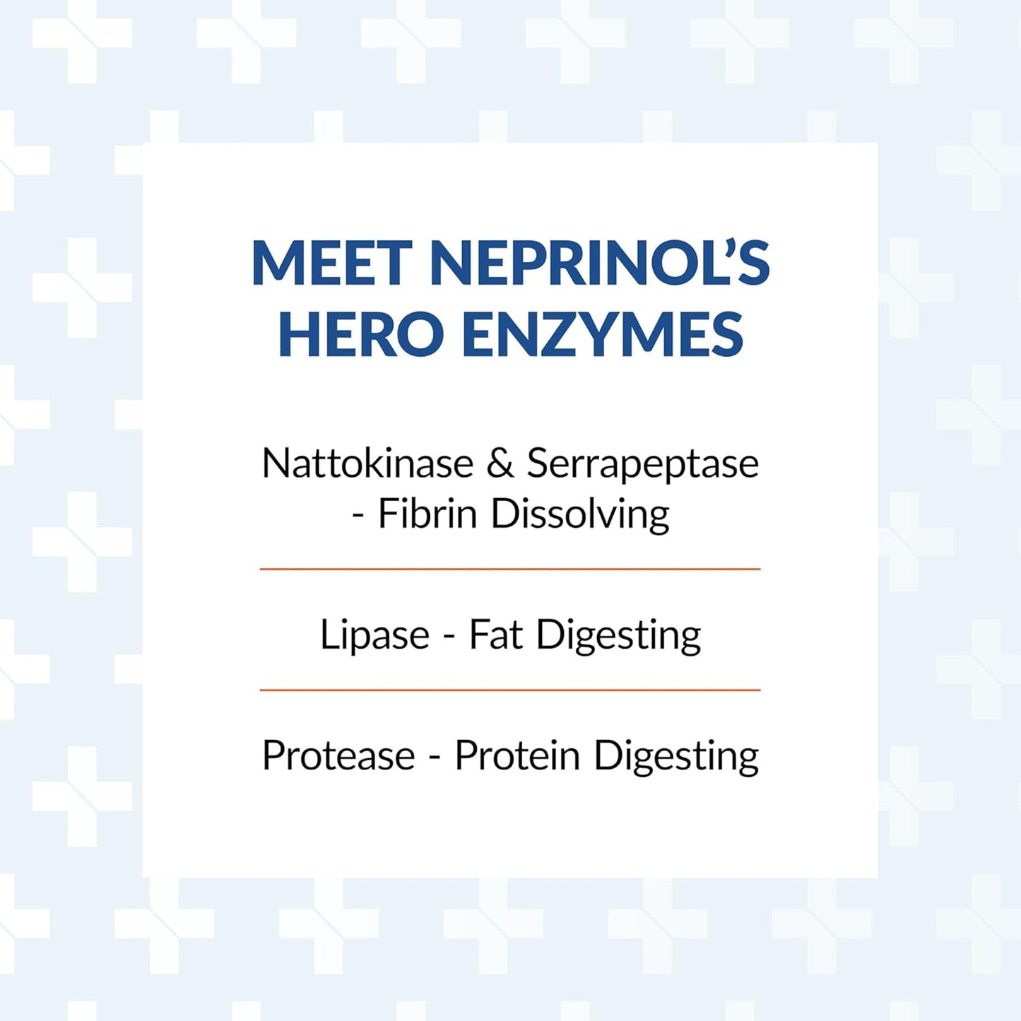 Neprinol AFD Enzyme Blend Supplement with Serrapeptase & Nattokinase - 90 Count Pack