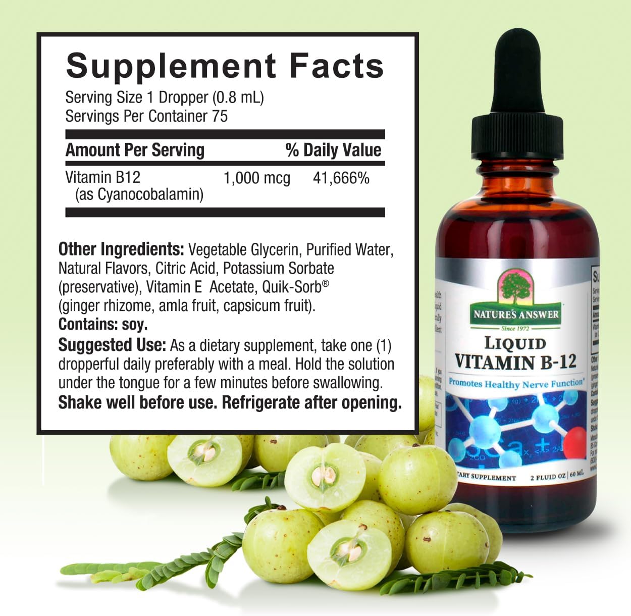 Nerve Function & Energy Boosting Liquid Vitamin B-12 | Naturally Flavored & Gluten-Free 2oz | Nature's Answer