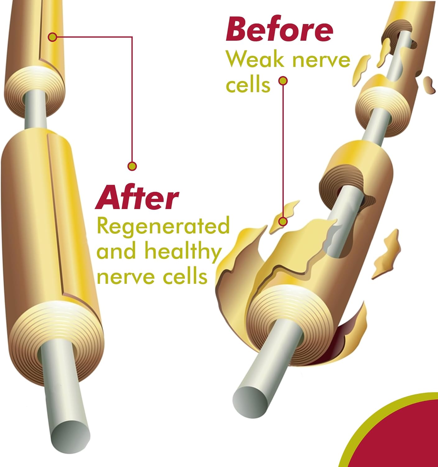 Nerve Repair & Regeneration Formula with Vitamin D3, B1, B6, B12, DHA, Alpha Lipoic Acid, Acetyl-L-Carnitine & Turmeric - Nerve Support Tablets