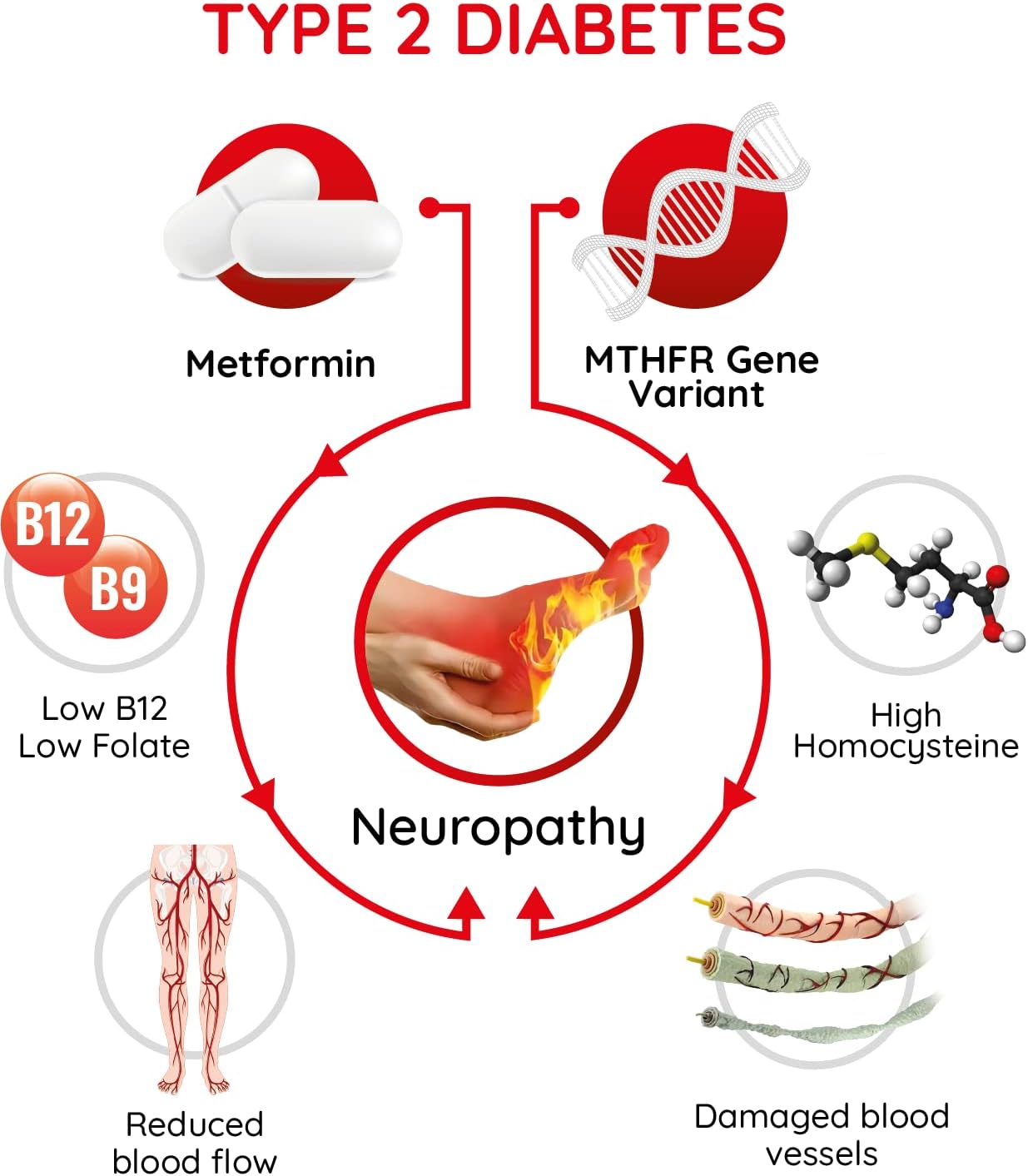 NerveReverse Neuropathy Support Formula Capsules - 3 Pack (90 Day Supply) - NervEverse Nutrition for Nerves - BoostGo Australia