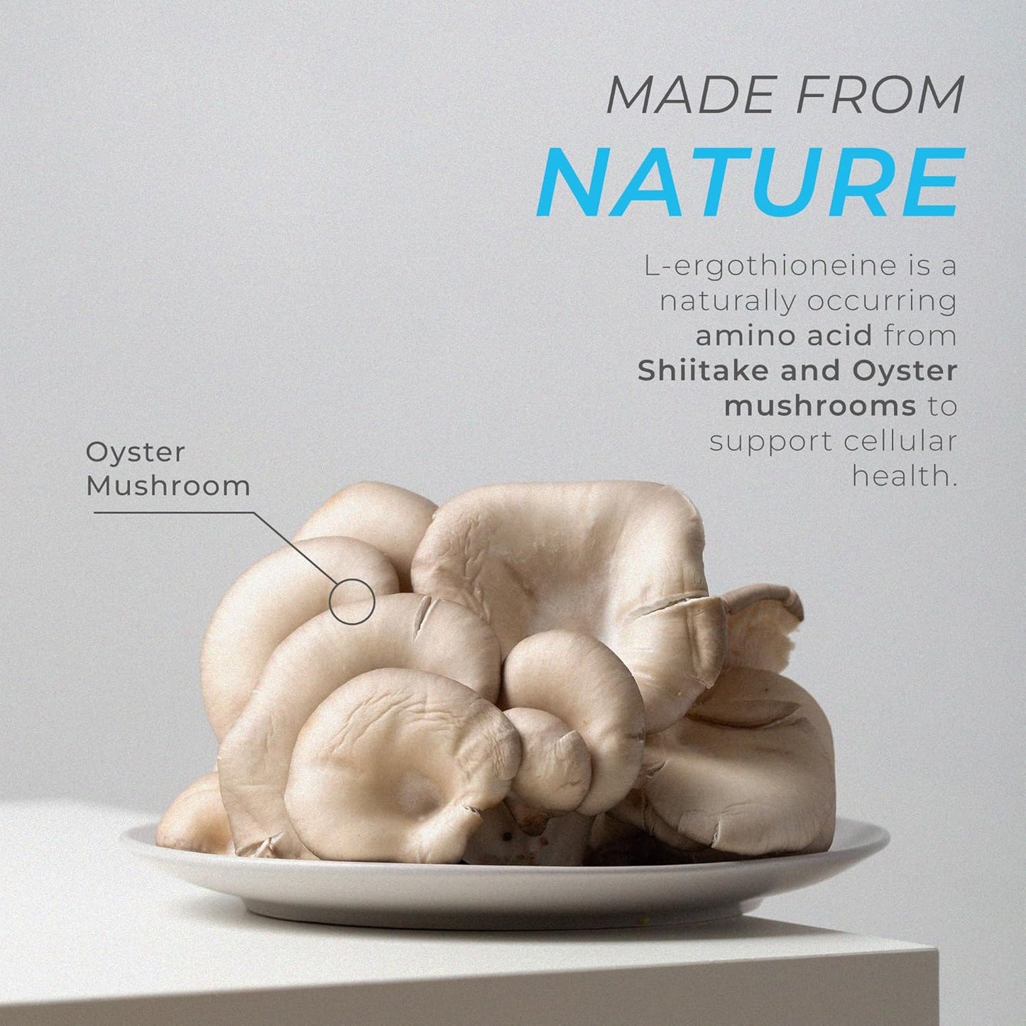 Neurogan L-Ergothioneine Tablets 5mg - Longevity & Brain Health Support Supplement - 60 Servings