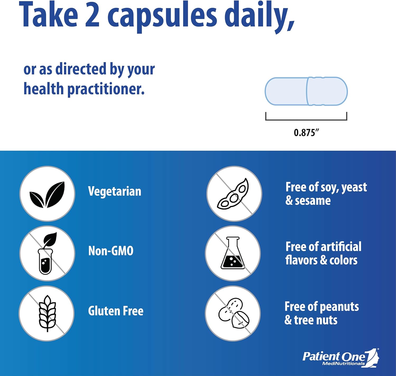 NeuroOne Memory, Cognition, Mood, and Focus Supplement with Citicoline, Acetyl-L-Carnitine, Gingko | 60 Capsules