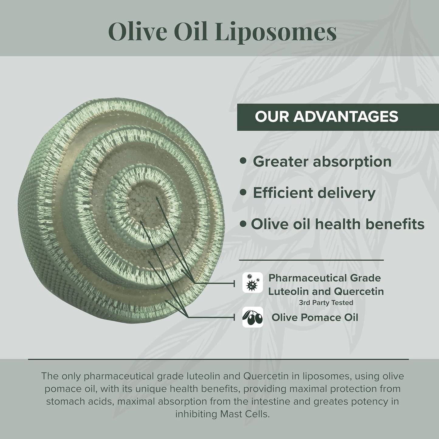 NeuroProtek Low Phenol Soft Gels - 60 Count, Luteolin and Flavonoids in Olive Pomace Oil