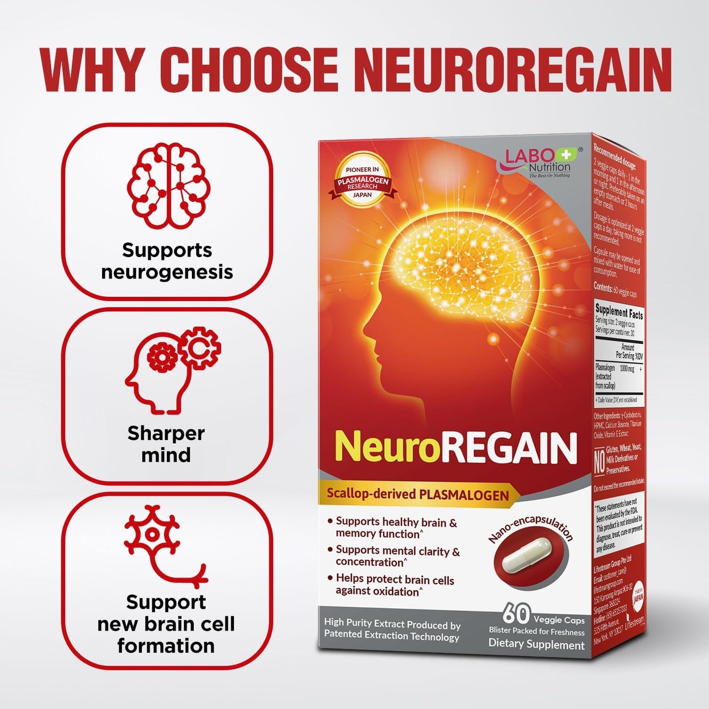 NeuroREGAIN Scallop PLASMALOGEN Boosts Brain Health for Seniors & Adults - Memory, Alertness, Learning, Concentration & Cognitive Function Support