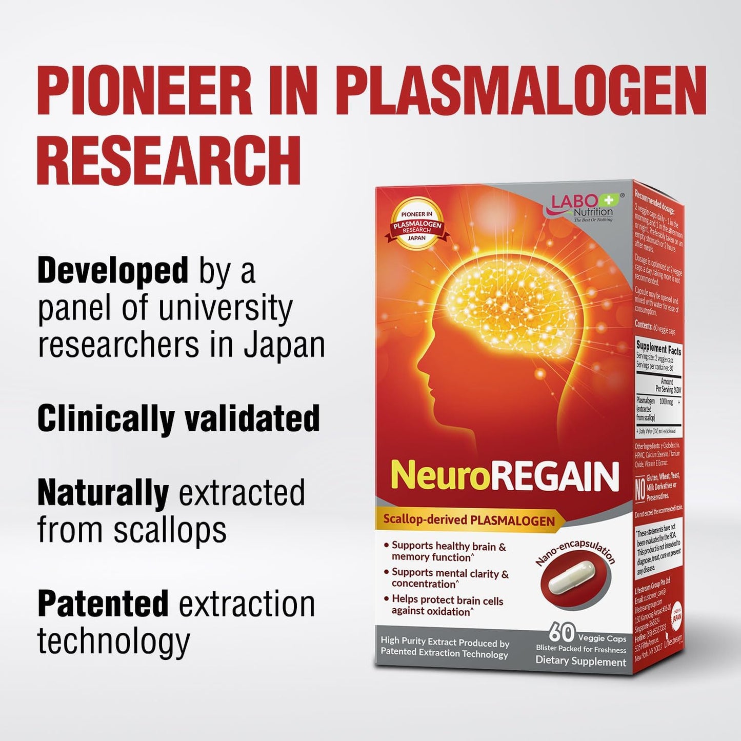 NeuroREGAIN Scallop PLASMALOGEN Boosts Brain Health for Seniors & Adults - Memory, Alertness, Learning, Concentration & Cognitive Function Support
