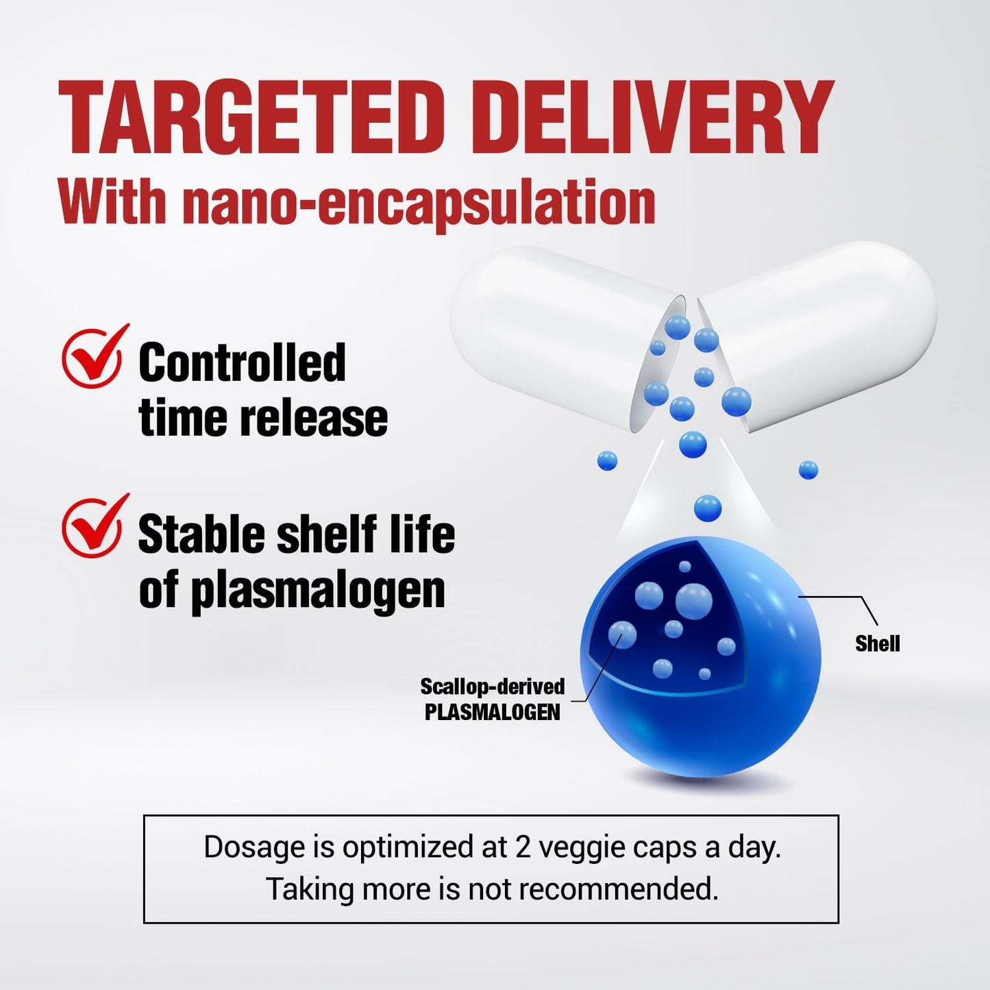 NeuroREGAIN Scallop PLASMALOGEN Boosts Brain Health for Seniors & Adults - Memory, Alertness, Learning, Concentration & Cognitive Function Support