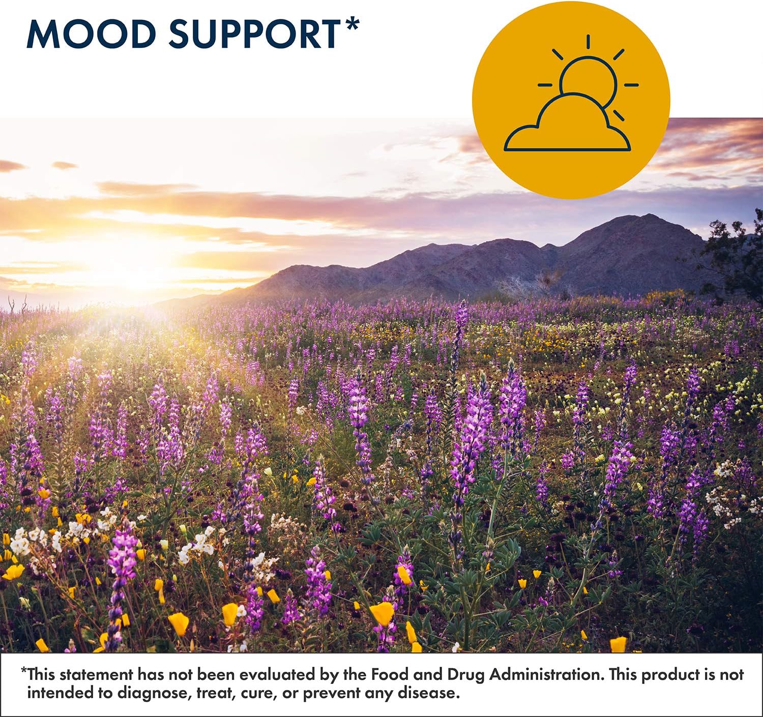 Neurotransmitter Support Bundle - Brain Cell + Metacalm with Citicoline, DMAE, Ginkgo, GABA, 5-HTP, L-Theanine - Memory, Focus, Mood - 60 Caps + 120 Caps