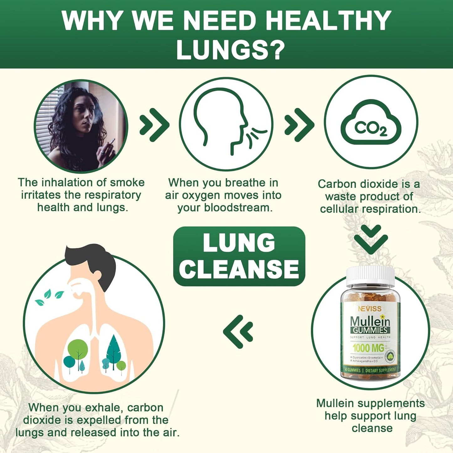 NEVISS Mullein Leaf Extract Gummies 1000mg for Lung Health, Respiratory Support with Quercetin & Bromelain, D3, Vegan - 60 Count