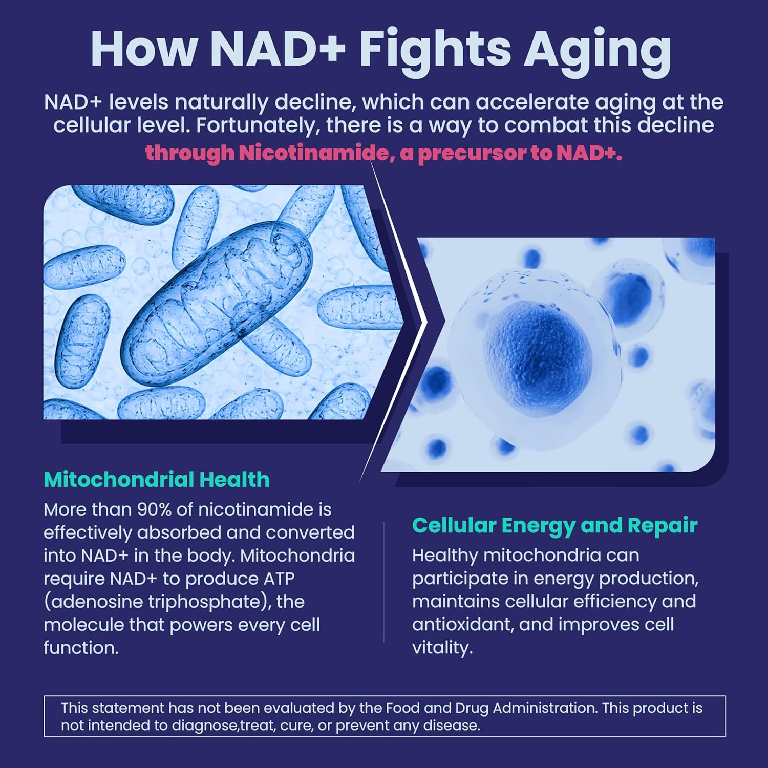 NEVISS Nicotinamide 500mg Gummies: NAD+ Supplement with Collagen Peptides for Healthy Aging, Longevity, and Brain Health - 120 Count