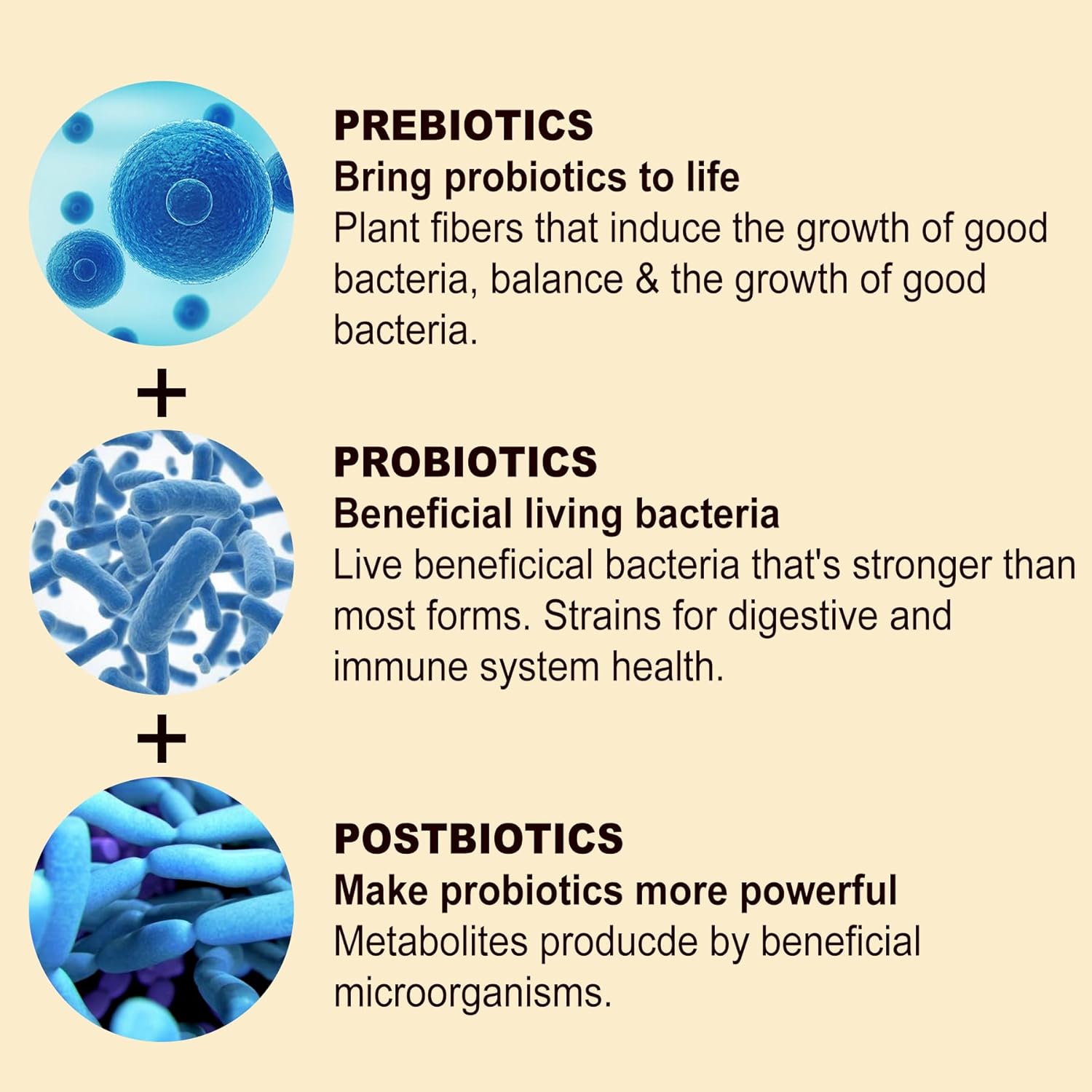 NEVISS Sugar Free Turmeric Curcumin & CoQ10 Gummies 550mg & 250mg for Immune, Digestive, Energy, Antioxidant Support