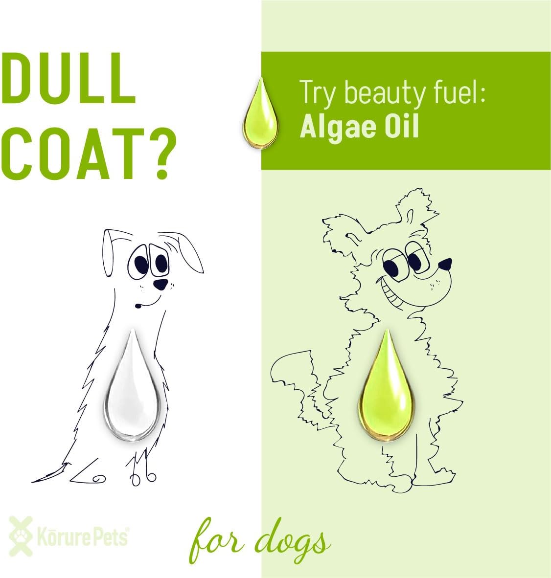 New Zealand Algae Oil Supplement for Dogs | Omega 3 Skin & Coat Relief | Anti-Shedding & Itch Relief | Dry Skin Treatment | 120ml