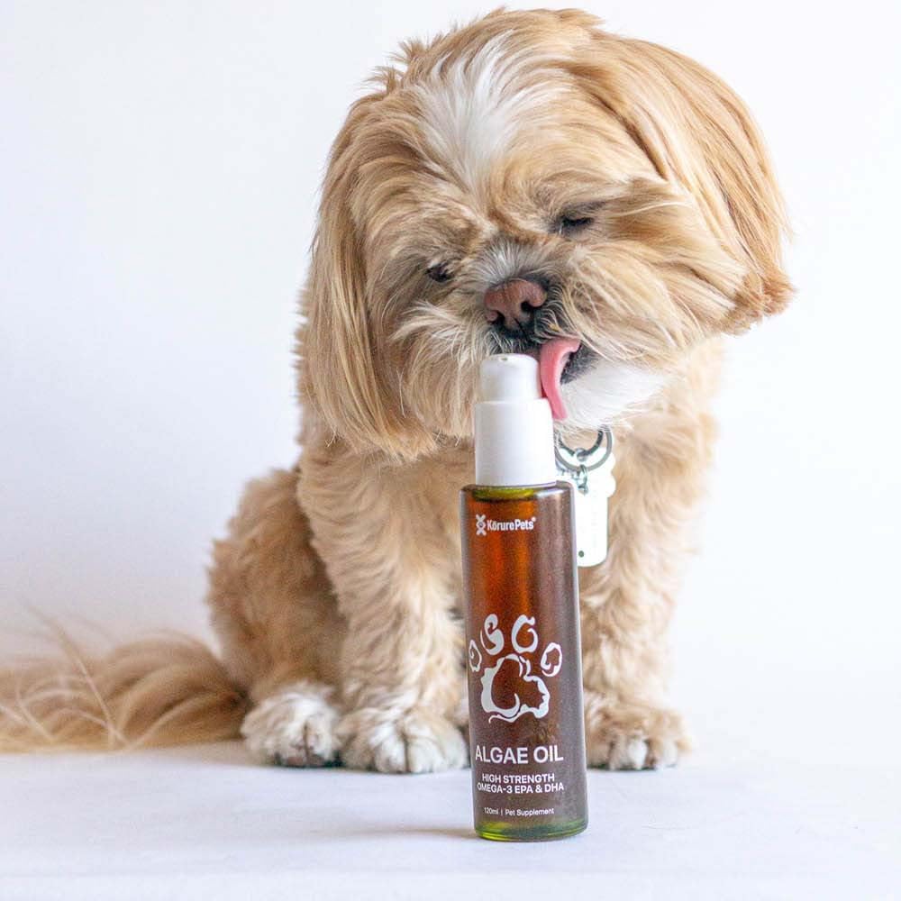 New Zealand Algae Oil Supplement for Dogs | Omega 3 Skin & Coat Relief | Anti-Shedding & Itch Relief | Dry Skin Treatment | 120ml