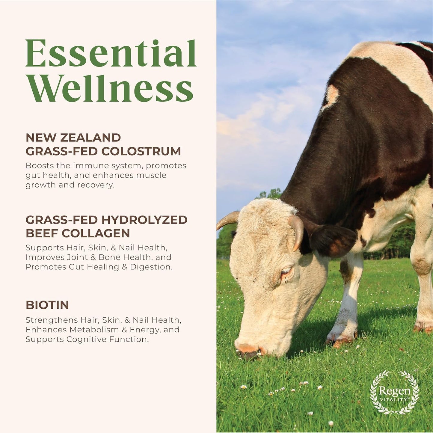 New Zealand Bovine Colostrum & Collagen Powder for Gut, Hair, Skin, Joints - Vanilla Bean (28 Servings)