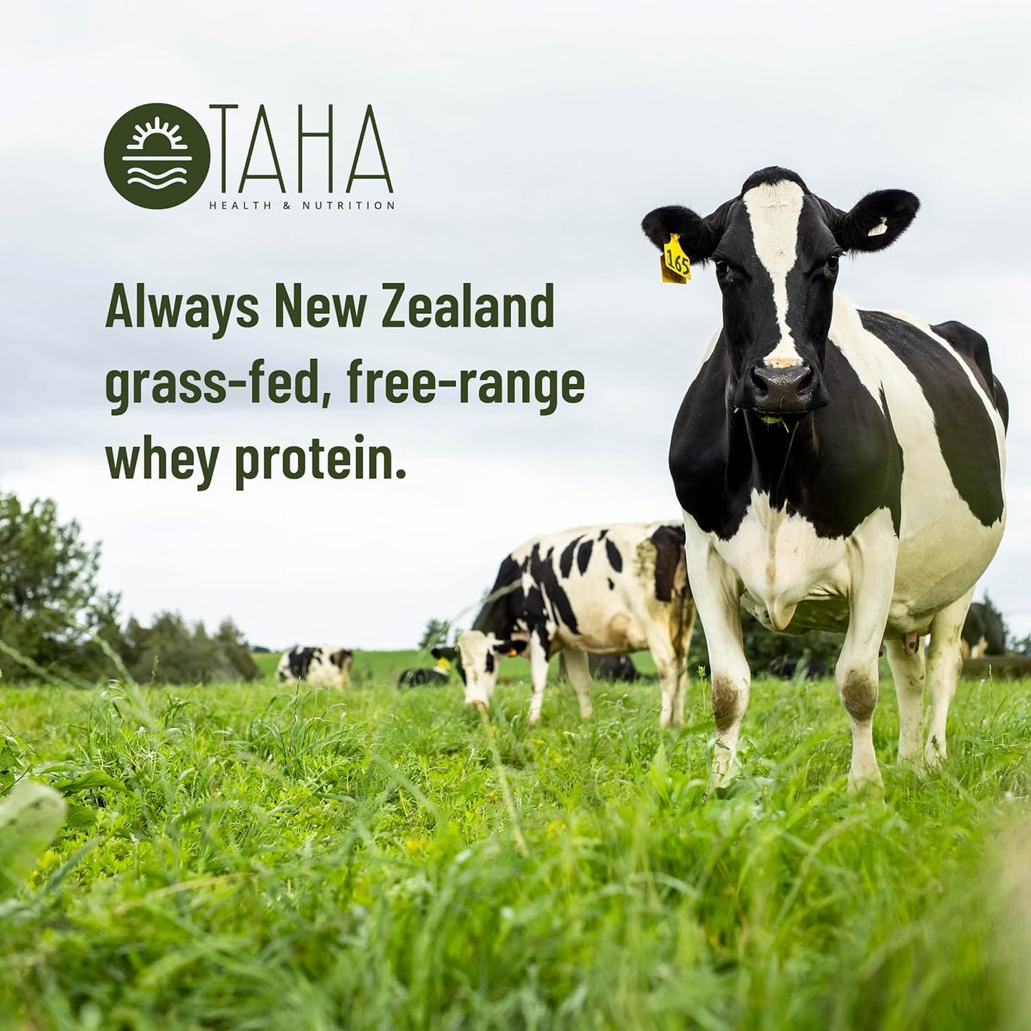 New Zealand Grass-Fed Vanilla Whey Protein Powder, 25g Protein, 140 Calories, 2g Sugar | Gluten & Soy Free, Keto, Kosher | 2LB