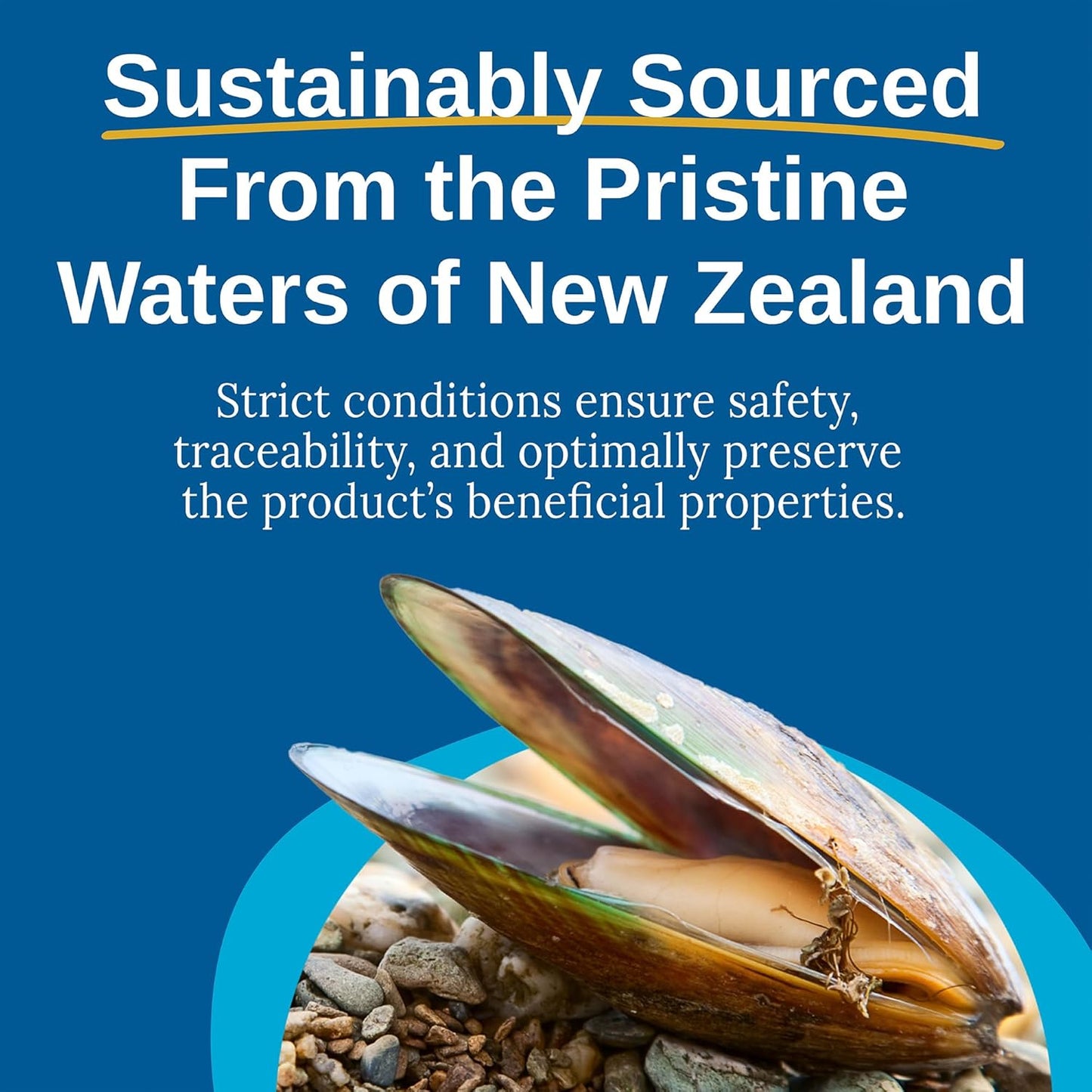 New Zealand Green Lipped Mussel Powder Supplement - 2400mg with Omega-3 for Joint Health, 120 Capsules (2 Pack) by Xtendlife