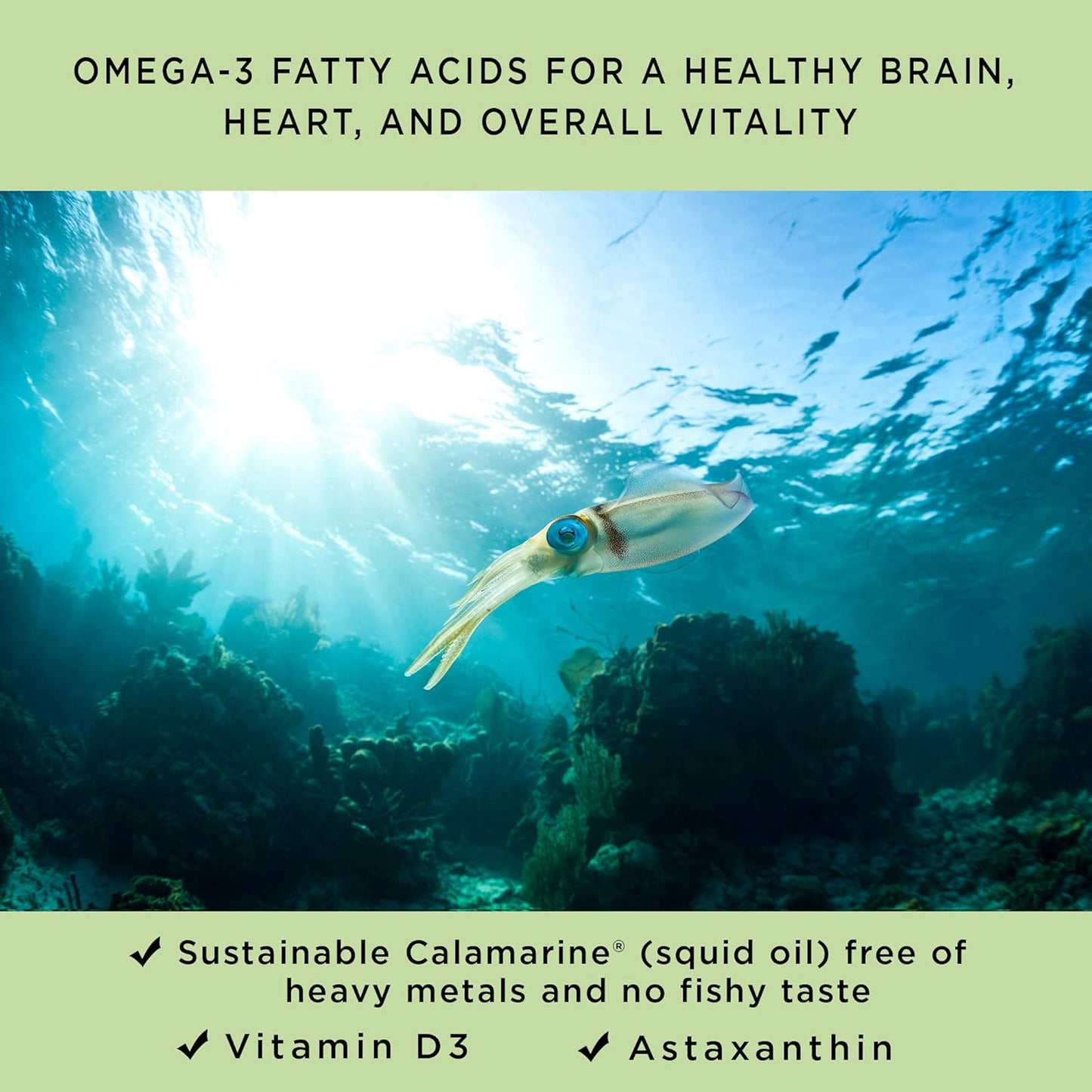Newport Natural Health Omega-D3 with Astaxanthin & Vitamin D3 | High Concentration EPA & DHA for Heart, Brain, Joint & Immune Support