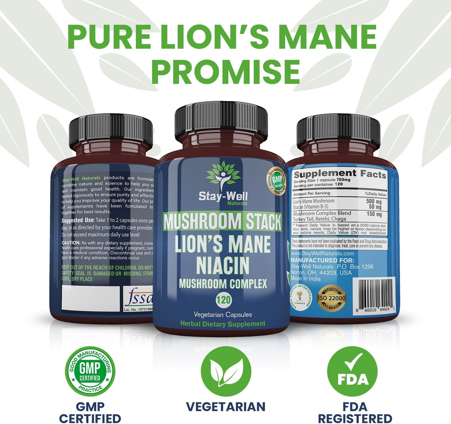 Niacin Lion Mane Mushroom Supplement Capsules with Turkey Tail, Chaga, and Reishi Extracts - Stay-Well Naturals Mushroom Complex Capsules