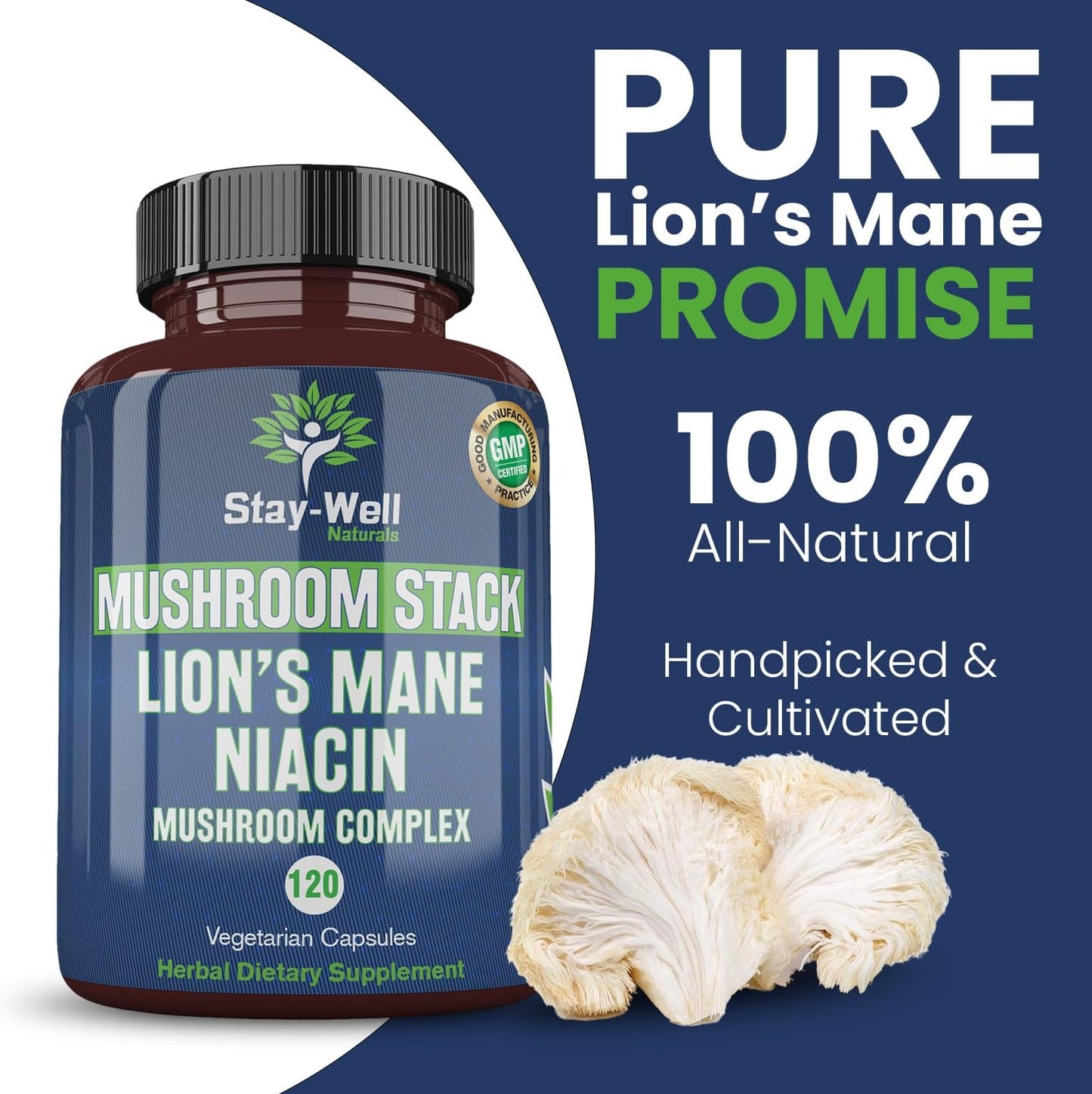 Niacin Lion Mane Mushroom Supplement Capsules with Turkey Tail, Chaga, and Reishi Extracts - Stay-Well Naturals Mushroom Complex Capsules