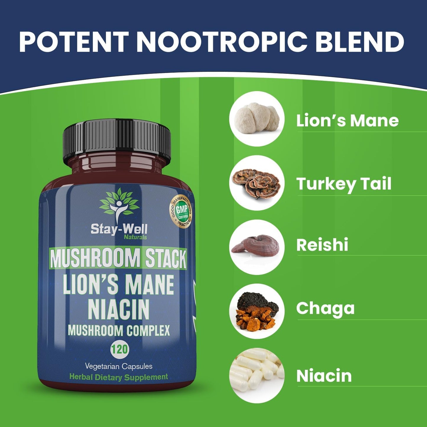 Niacin Lion Mane Mushroom Supplement Capsules with Turkey Tail, Chaga, and Reishi Extracts - Stay-Well Naturals Mushroom Complex Capsules