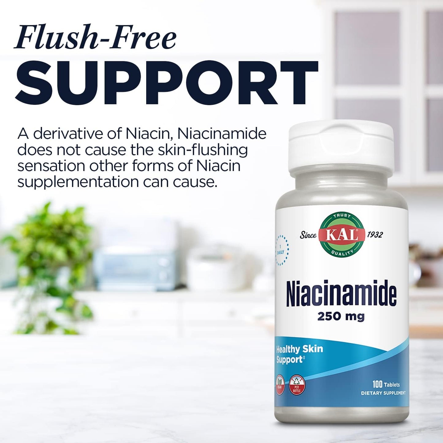 Niacinamide 250mg Tablets for Skin, Energy, Nerves & Circulation - Vegan Supplement with Enhanced Absorption - 100 Tablets, 100 Servings