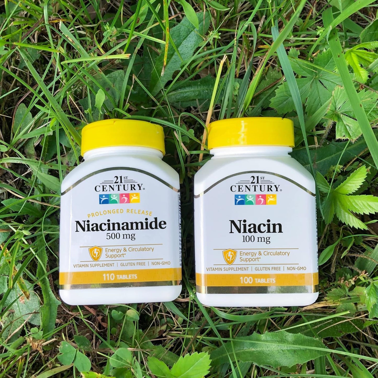 Niacinamide 500mg Extended Release Tablets for 21st Century, 220 Tablets