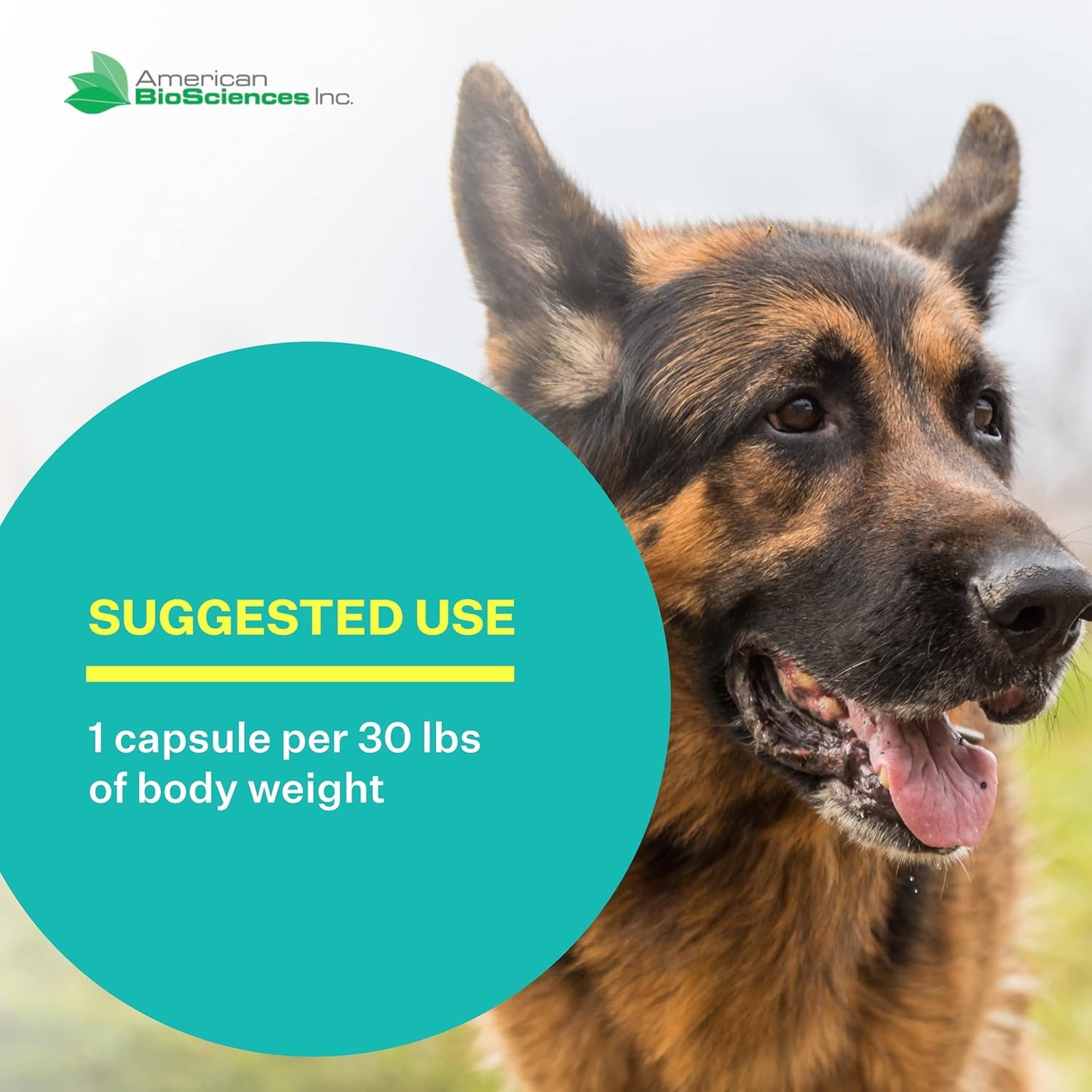 NK-9 AHCC Supplement for Dogs & Cats - Supports Pet's Immune System - 30 Capsules, 250mg - BoostGo Australia