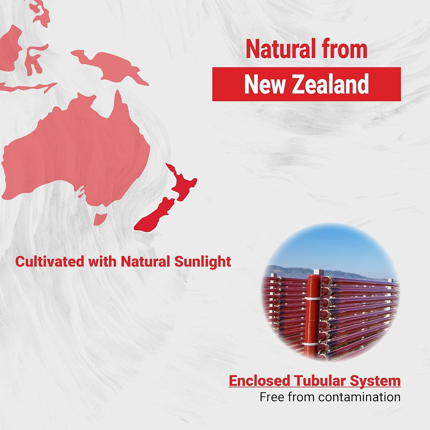 Non-GMO Astaxanthin Supplements from Sustainable New Zealand Microalgae - 180 Mini-Softgels