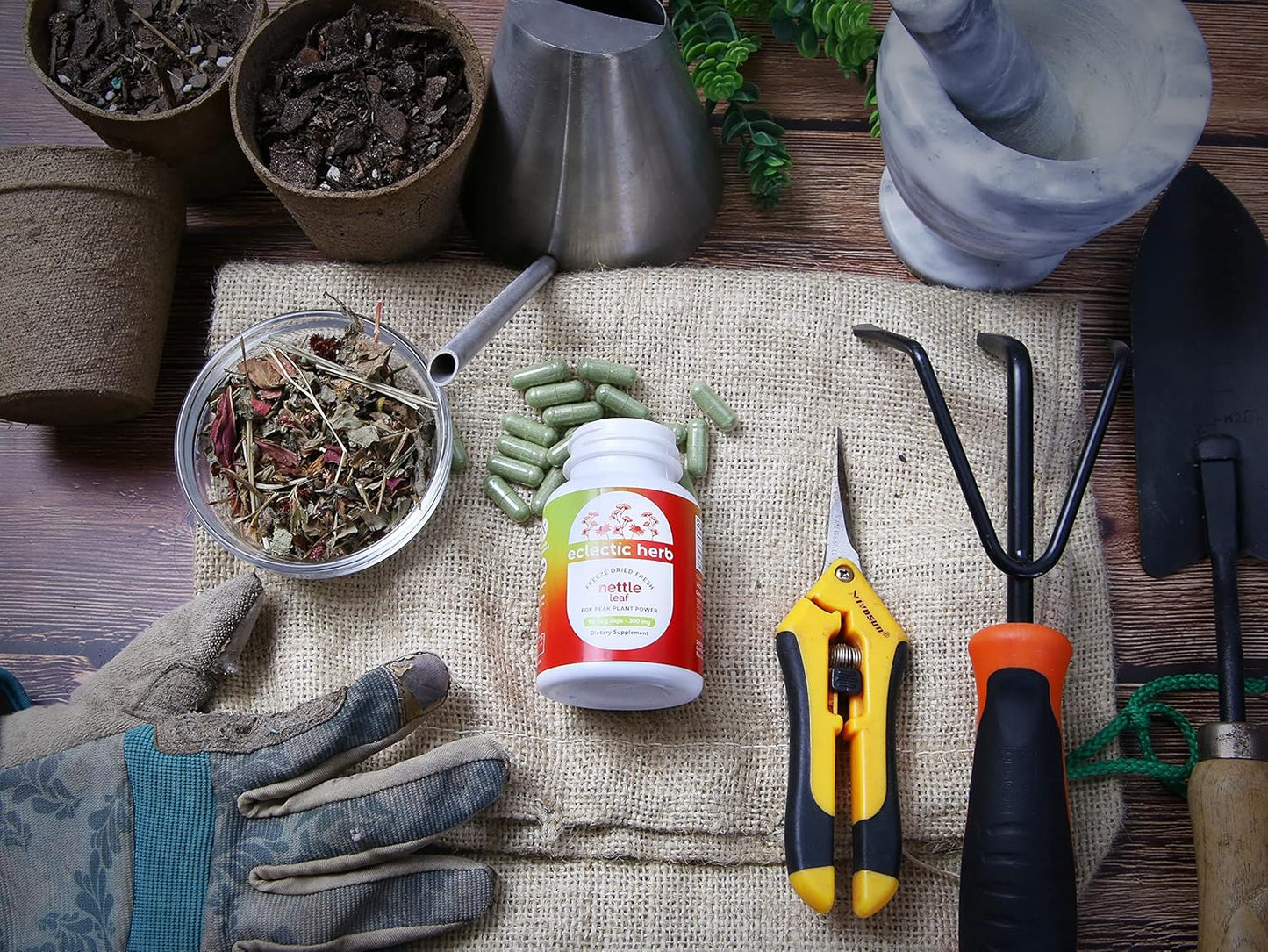 Non-GMO Freeze-Dried Nettle Leaf Capsules for Sinus & Respiratory Wellness | Eclectic Institute 90 ct (300 mg) Vegan Friendly