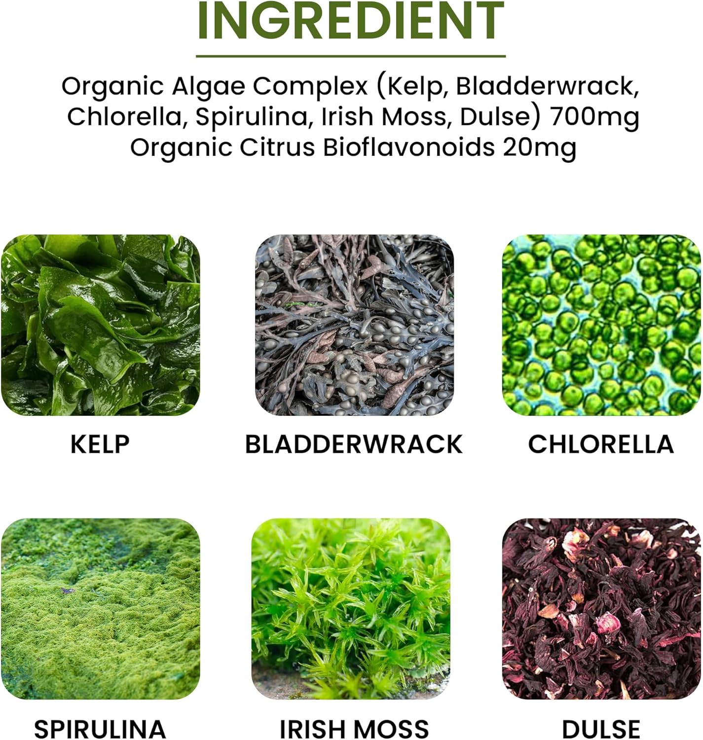 Non-GMO Green Organic Supplements with Algae, Fucoidan, Kelp, Chlorella, Spirulina - 90 VCaps, High Absorbable, Gluten-Free - Single Pack