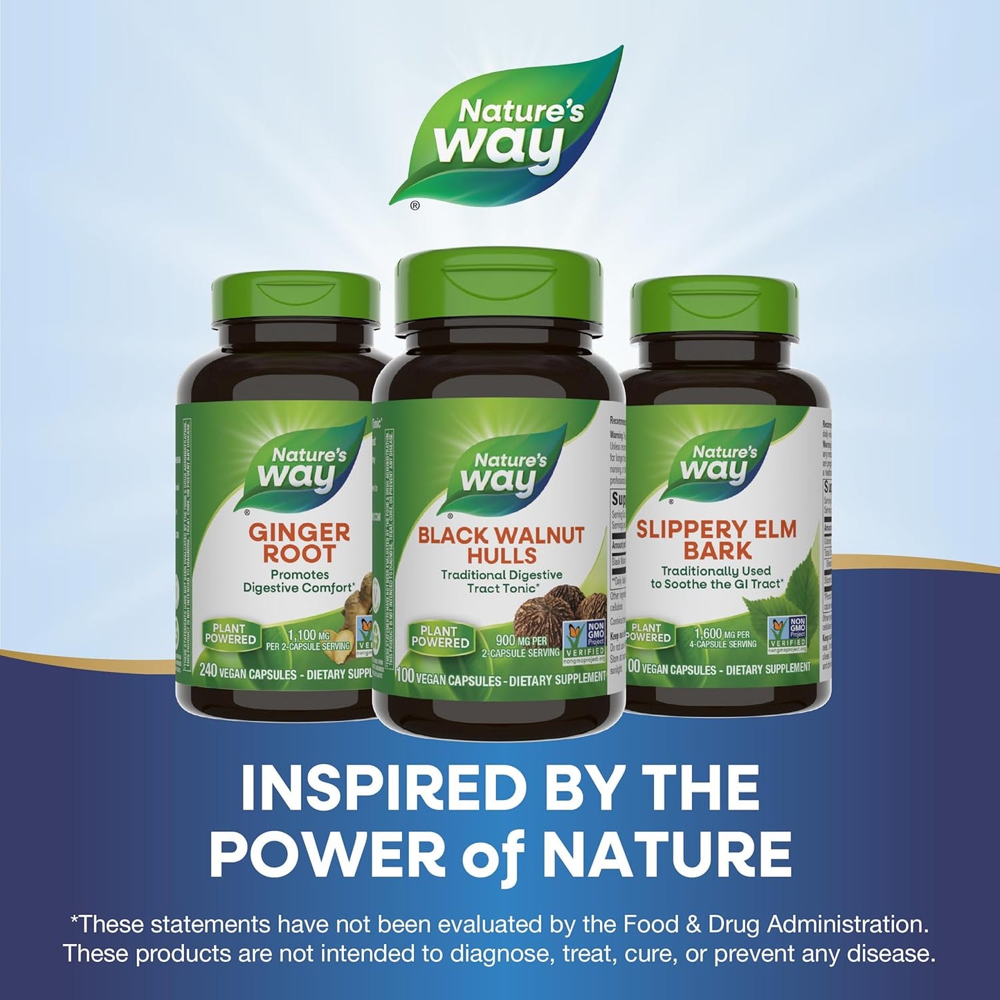 Non-GMO Vegan Black Walnut Hulls Digestive Tract Tonic, 900mg, 100 Capsules - Pack of 2