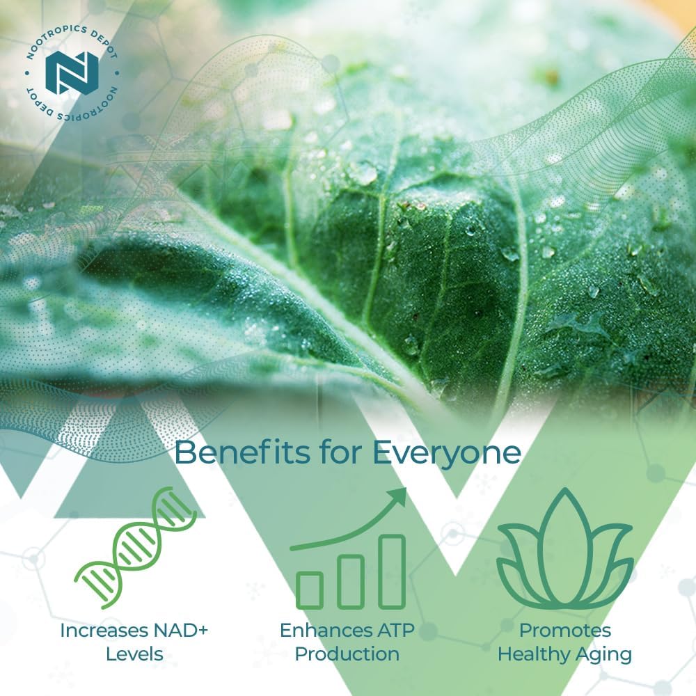 Nootropics Depot NADH + Chlorophyll Capsules 90 Count - Energy, Alertness, Mental Clarity, & Healthy Aging - Nicotinamide Adenine Dinucleotide - Chlorella vulgaris (Broken Cell)
