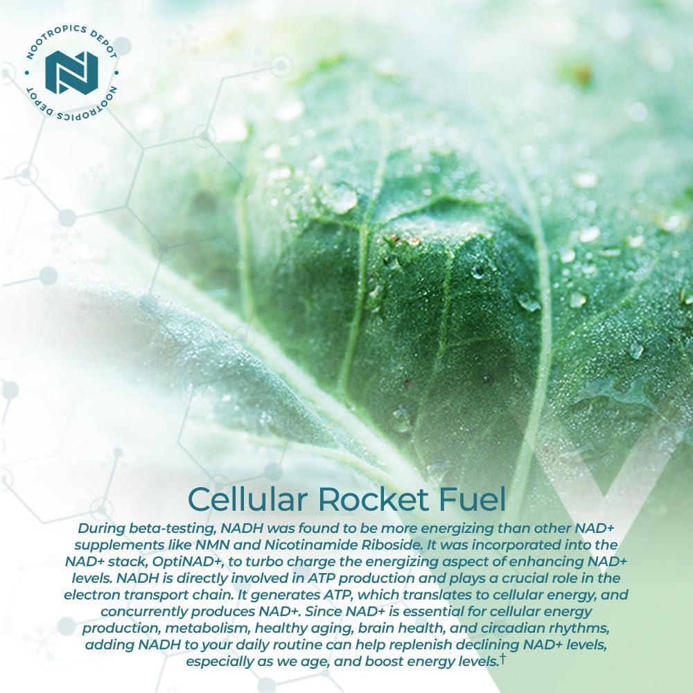 Nootropics Depot NADH + Chlorophyll Capsules 90 Count - Energy, Alertness, Mental Clarity, & Healthy Aging - Nicotinamide Adenine Dinucleotide - Chlorella vulgaris (Broken Cell)