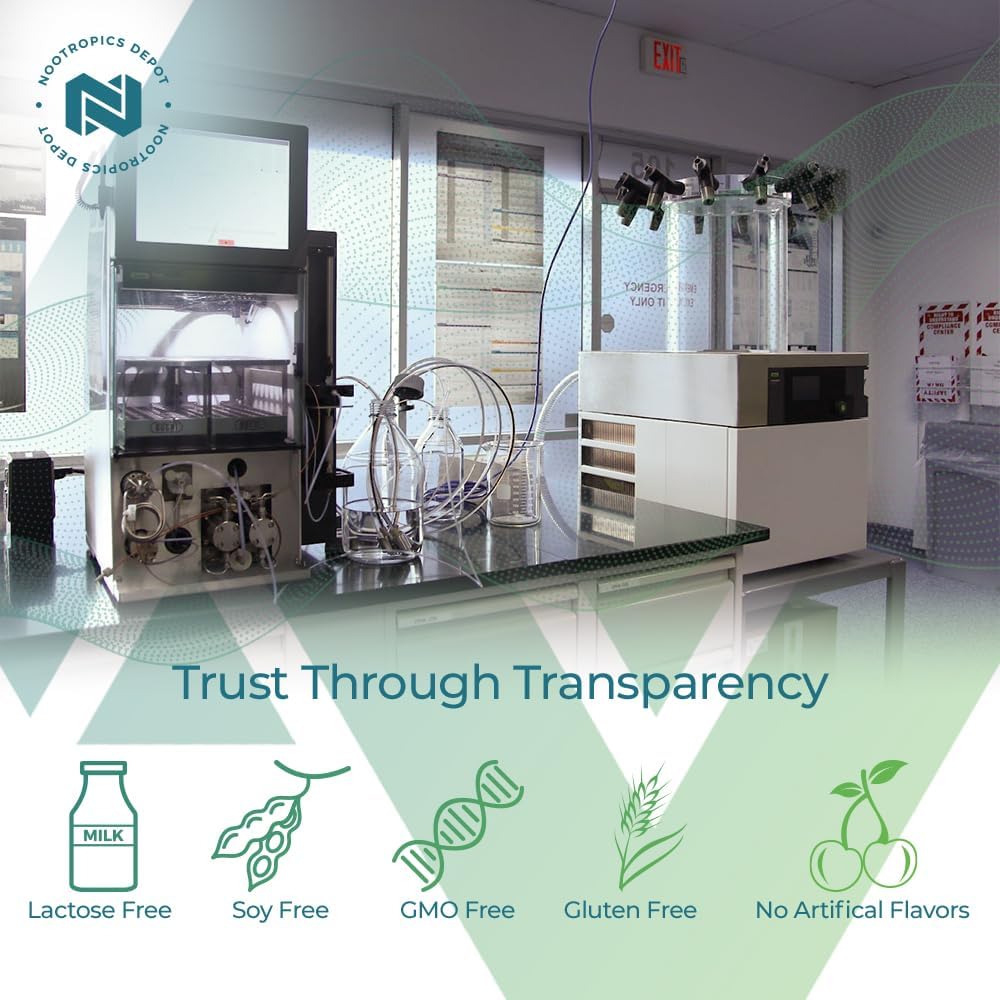 Nootropics Depot NADH + Chlorophyll Capsules 90 Count - Energy, Alertness, Mental Clarity, & Healthy Aging - Nicotinamide Adenine Dinucleotide - Chlorella vulgaris (Broken Cell)