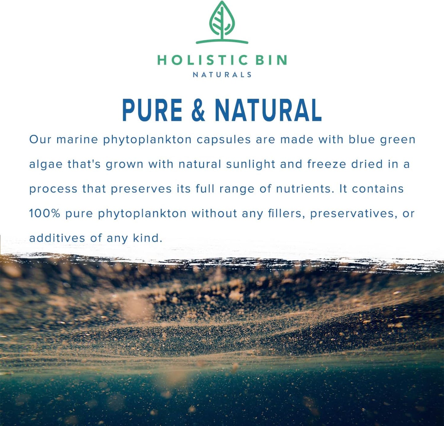Nordic Seawater Grown Marine Phytoplankton Capsules | Vegan Omega 3 Supplement with Amino Acids, Vitamins, & Minerals by Holistic Bin
