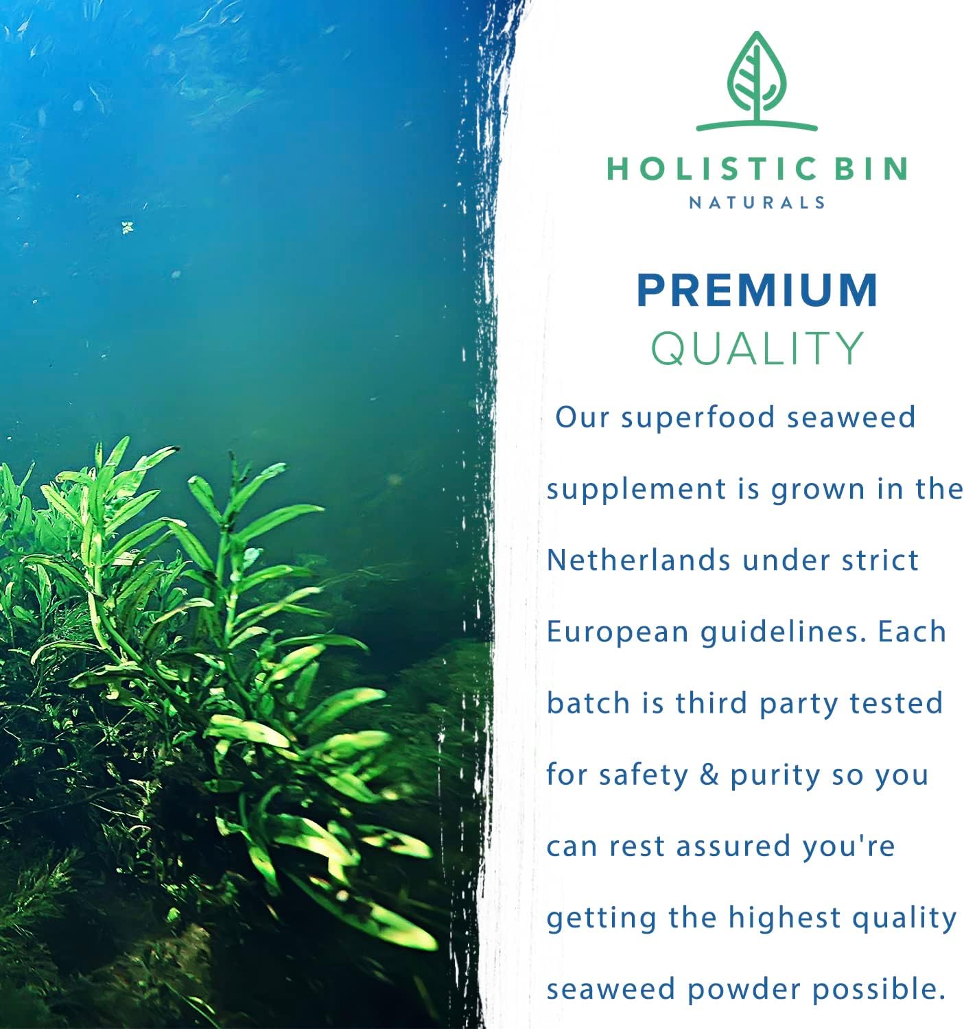 Nordic Seawater Grown Marine Phytoplankton Capsules | Vegan Omega 3 Supplement with Amino Acids, Vitamins, & Minerals by Holistic Bin